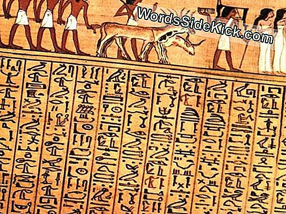 Os primeiros reis egípcios estão enterrados aqui. Grande parte do site ainda está inexplorada.